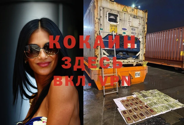 шишки Белокуриха