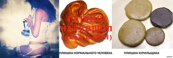 стаф Богородицк