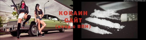 шишки Белокуриха