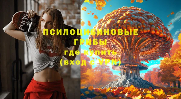 винт Осинники