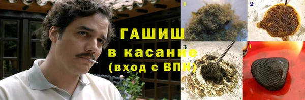 стаф Богородицк